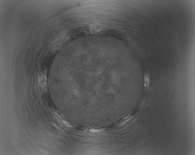 X0000077981011200611031354
