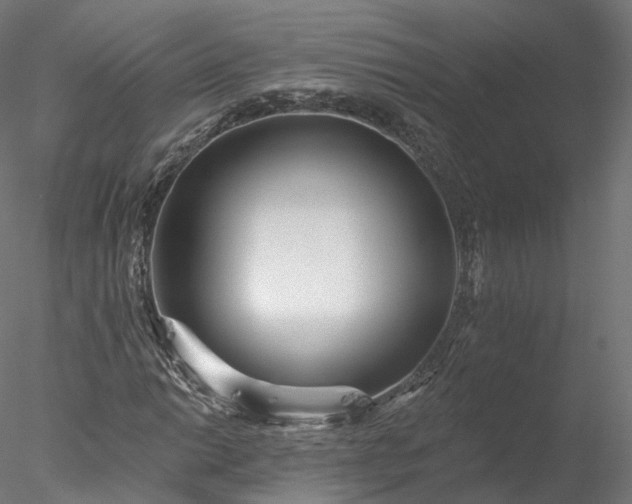 X0000077981014200611031354