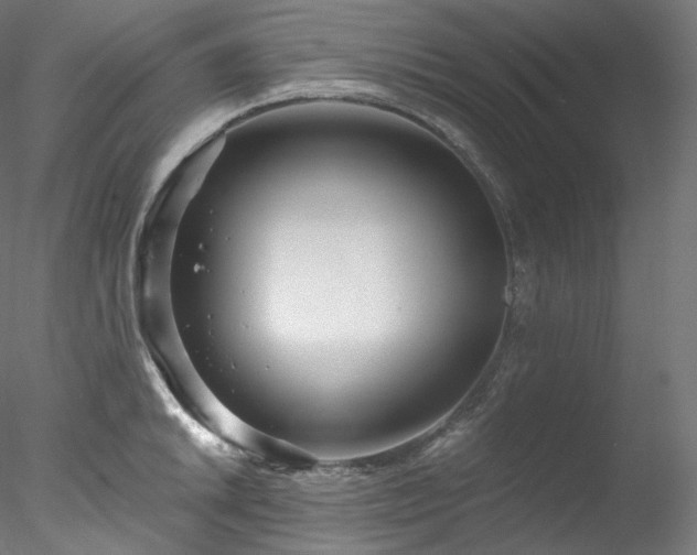 X0000077981046200611031354