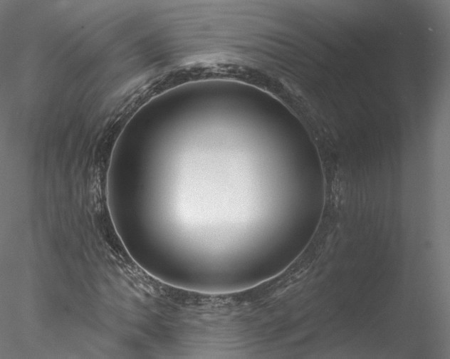 X0000077981062200611031354