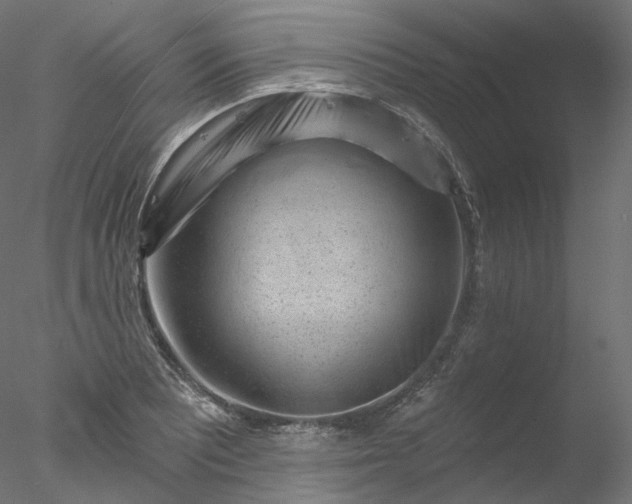 X0000077981081200611031353