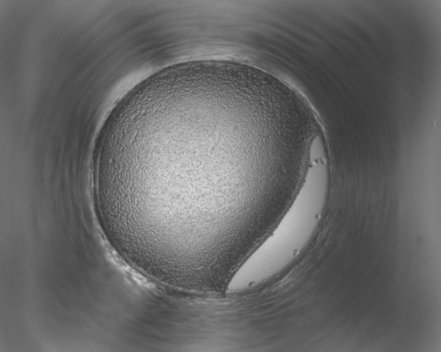 X0000077981088200611031353