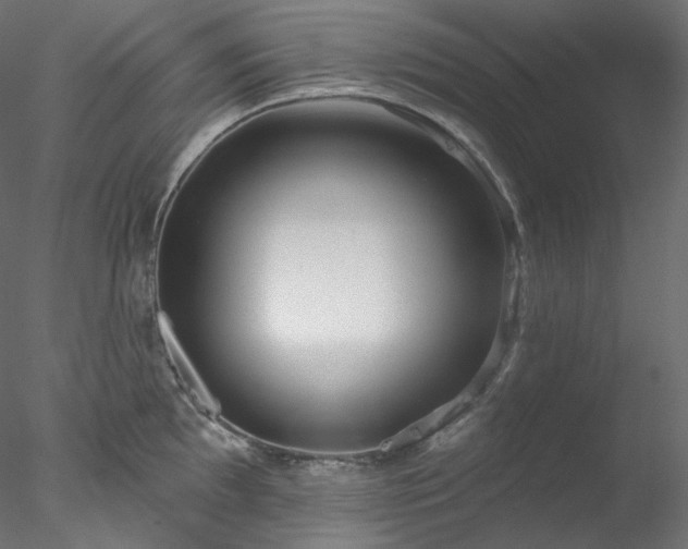 X0000077981097200611031353