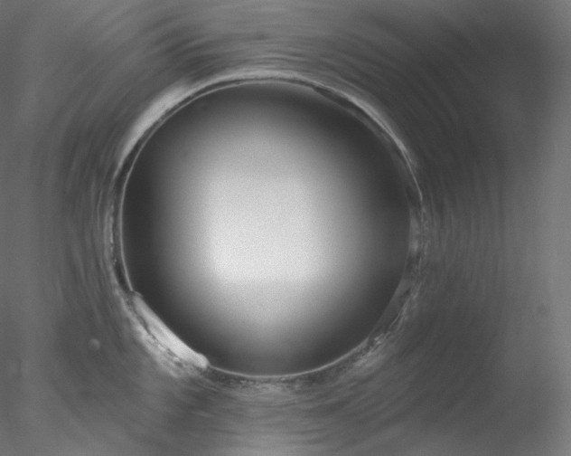 X0000077981101200611031353