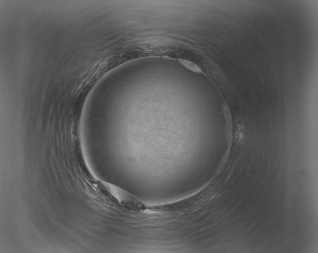 X0000077981108200611031352