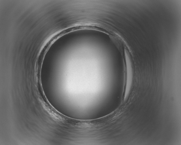 X0000077981124200611031352