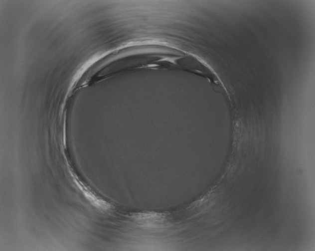 X0000077981127200611031352