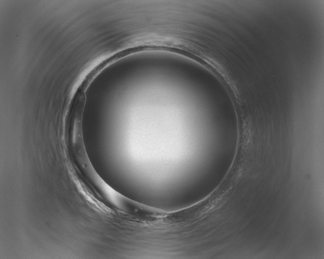 X0000077981128200611031352