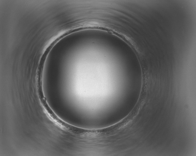 X0000077981134200611031353