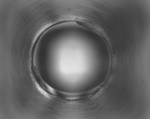 X0000077981136200611031353