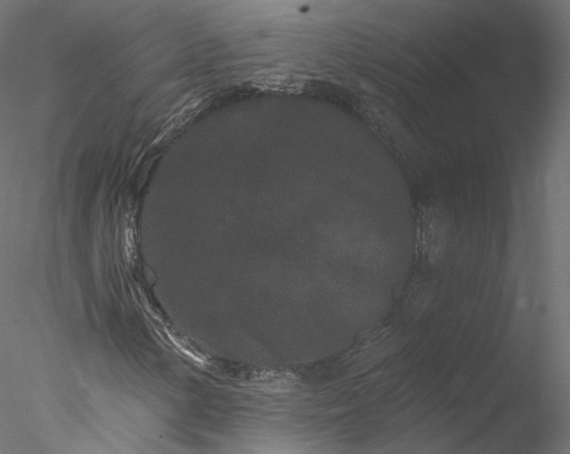 X0000077981154200611031352