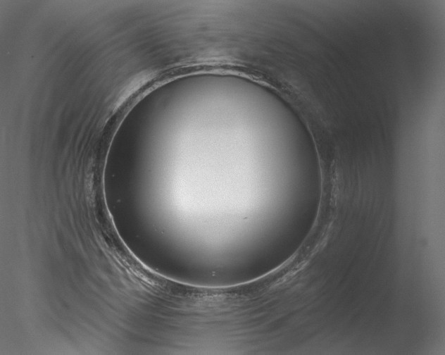X0000077981162200611031352
