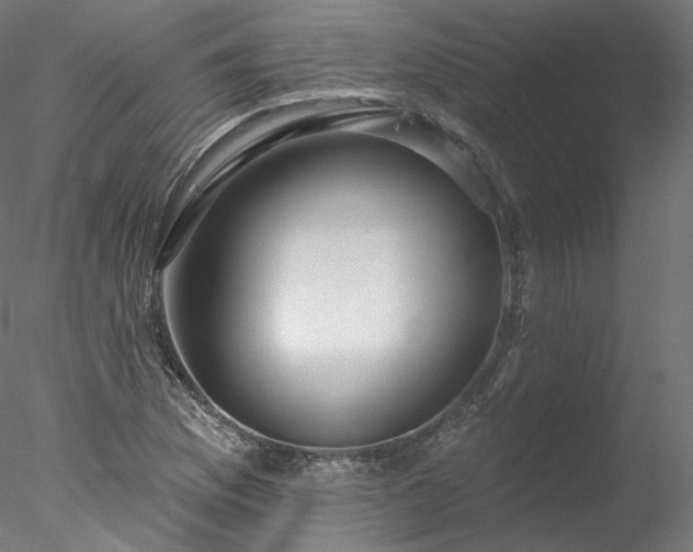 X0000077981169200611031352