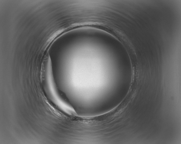 X0000077981177200611031352