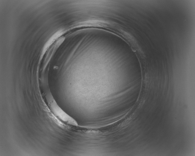 X0000077981180200611031352