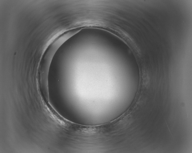 X0000077981182200611031352