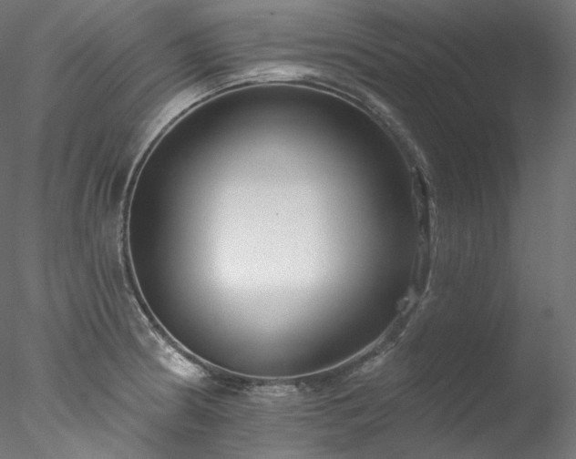 X0000077981186200611031352