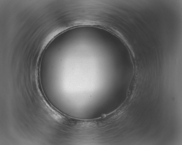 X0000077981187200611031352
