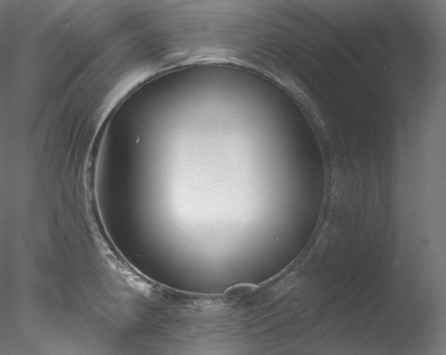 X0000077981190200611031351