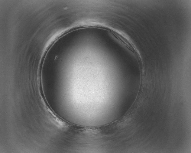 X0000077981191200611031351