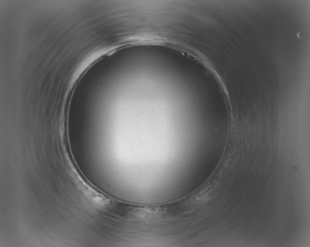 X0000077981195200611031351