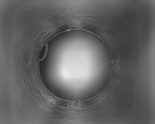 X0000077981201200611031350