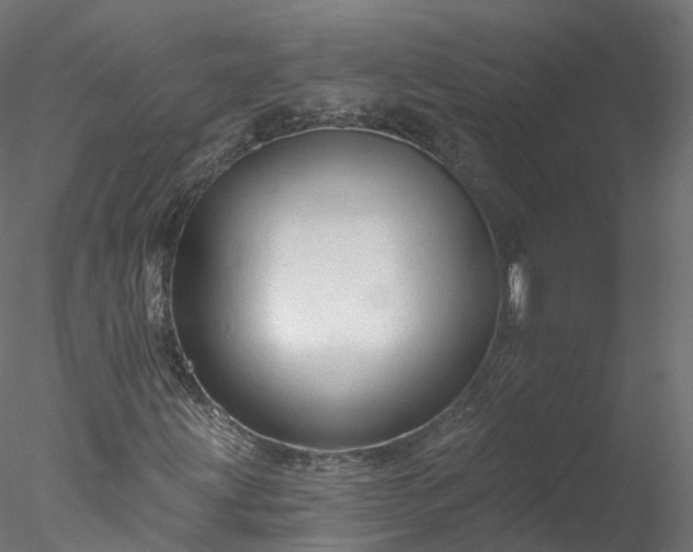 X0000077981203200611031351