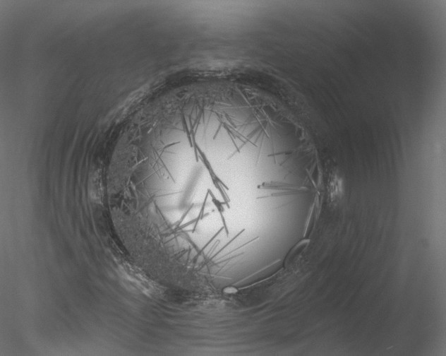 X0000077981204200611031351