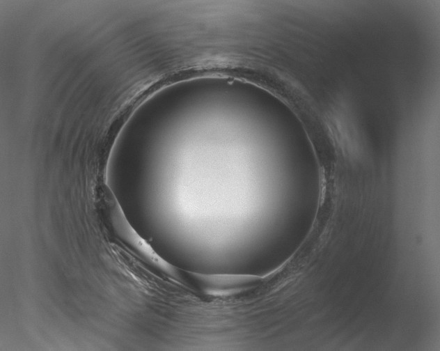 X0000077981217200611031351