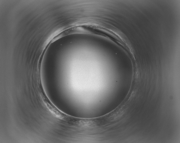 X0000077981242200611031351