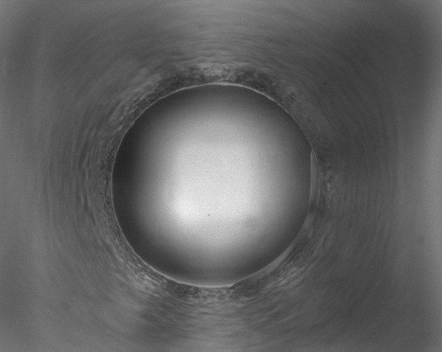 X0000077981249200611031350