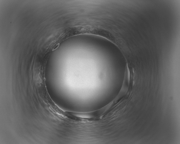 X0000077981250200611031350