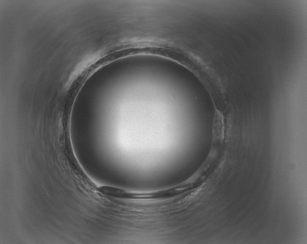 X0000077981261200611031350