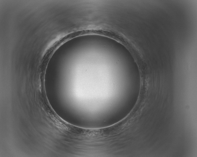 X0000077981262200611031350