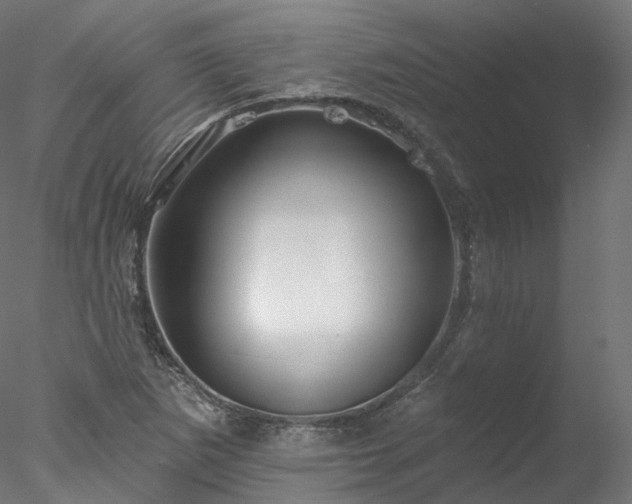 X0000077981265200611031350