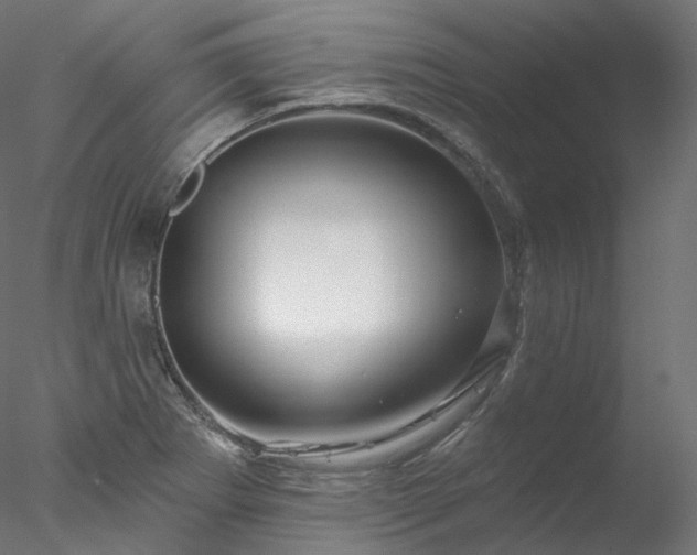 X0000077981273200611031350