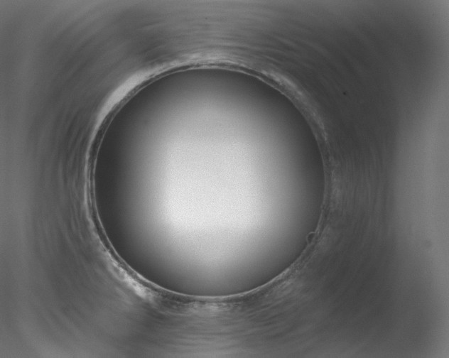 X0000077981286200611031350