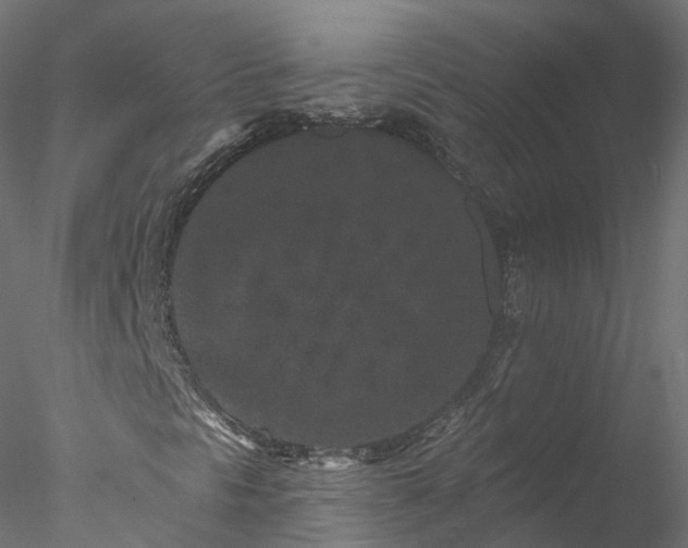 X0000077981297200611031349