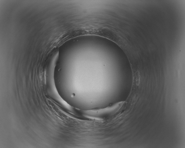 X0000077981298200611031349