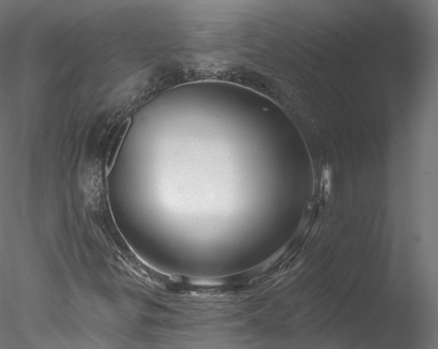 X0000077981299200611031349