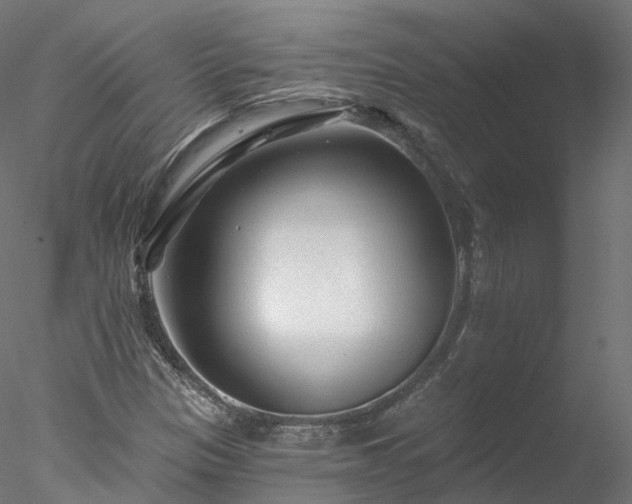 X0000077981305200611031349