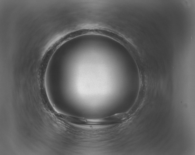 X0000077981311200611031349