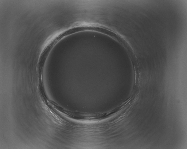 X0000077981319200611031349