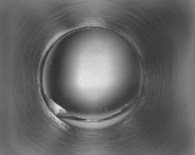 X0000077981339200611031350