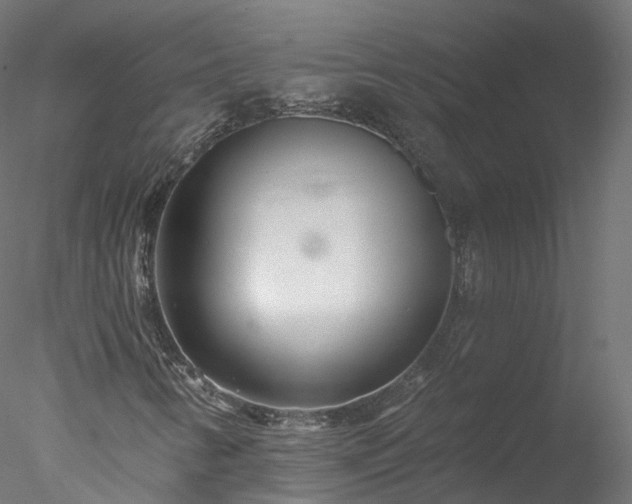 X0000077981346200611031349