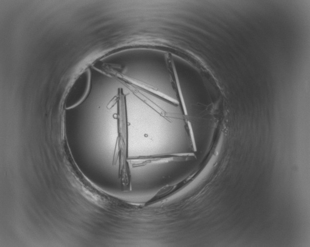 X0000077981371200611031348