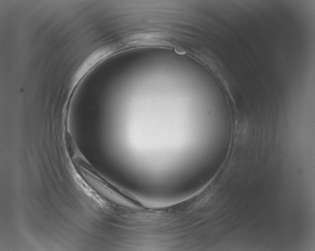 X0000077981386200611031348