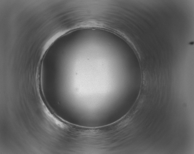 X0000077981387200611031348