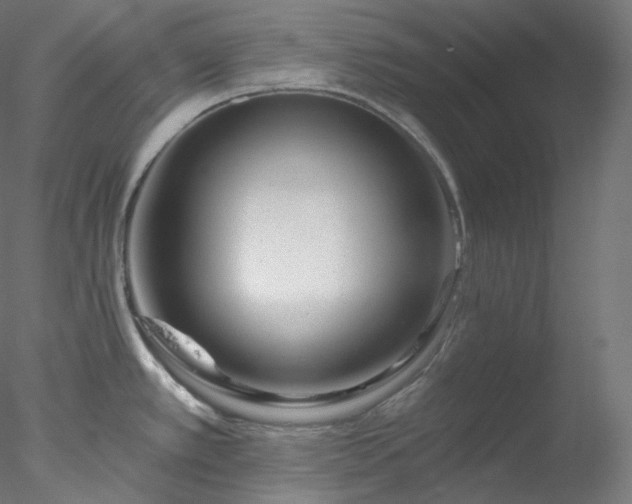 X0000077981389200611031348