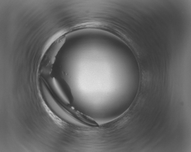 X0000077981426200611031348